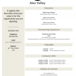 Resume Template Alex Valley