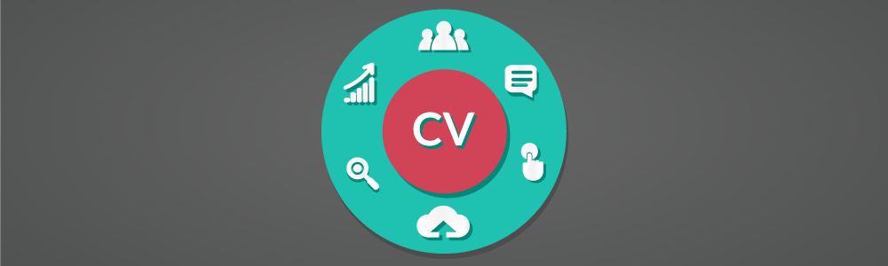 CV for managers