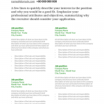 CV template model ainara torres