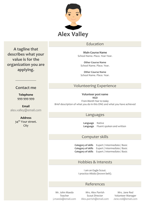 Resume Template Alex Valley